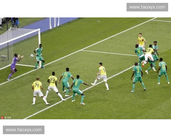 世界杯淡定哥引发热议 神情自若背后隐藏的故事与心态分析 世界杯淡定哥引发热议 神情自若背后隐藏的故事与心态分析